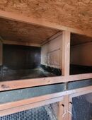 6er Dinjer Hasenstall in 73466