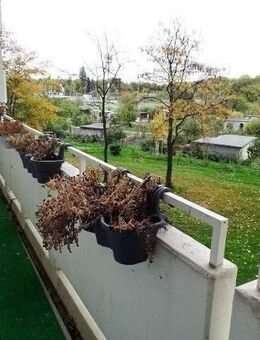 Schicke, sanierte 2,5 Zimmerwohnung mit 2 Balkonen und EBK in Köln Poll - Köln