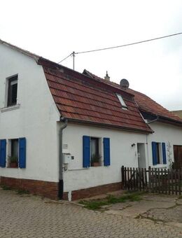 Einfamilienhaus mit Wohlfühlatmosphäre in ruhiger Lage von Winzenheim! - Bad Kreuznach