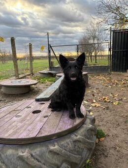 Cleverle Kaja - Ellerbek