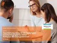 Teamleitung (m/w/d) im Fachdienst Sozialpädagogische Hilfen - Kompass-Beratungszentrum - Heide