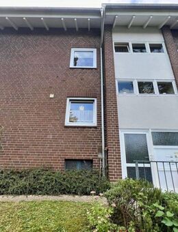 Mit viel Potenzial - Plön