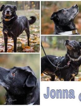 JONNA * ruhige liebe Einzelseniorin - Duisburg