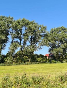 *RESERVIERT* Doppelhaus mit Einliegerwohnung in Alleinlage von Varel-Streek - Varel