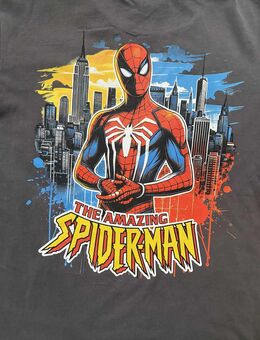 2 tlg. Set | Spiderman | Marvel | The Lion King - Gröbenzell