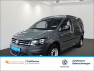 VW Caddy, 2.0 TDI ecoProfi Maxi Commerce, Jahr 2019 - Kaiserslautern