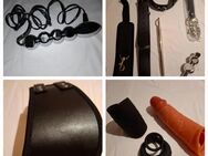 Sextoy/BDSM Set mit Analhaken, Elektroplug, Halskorsett und Vibrationstoys - Nürnberg