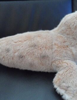 Seehund Steiff - Marl (Nordrhein-Westfalen)