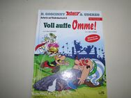 Asterix auf Ruhrdeutsch 5 - Dorsten