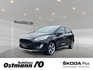 Ford Fiesta, EcoBoost 63kw AppLink 17ALU, Jahr 2019 - Niestetal