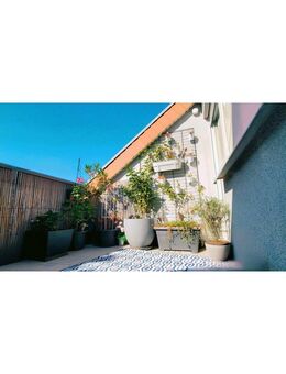 2-Zimmer-Traum mit Terrasse & Aufzug - Ideal zum Einziehen oder Vermieten - Leimen (Baden-Württemberg)