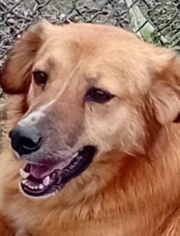 NIKITA wünscht sich ihre eigene Familie - Sulzfeld (Baden-Württemberg)