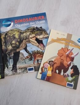 Buch Dinosaurier - Brechen