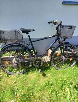 Gebrauchtes Trekkingrad👍 - Altenberg Geising