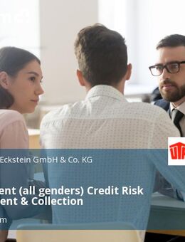 Werkstudent (all genders) Credit Risk Management & Collection - Kleinostheim