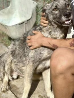 TAYAN ~ liebt den Menschen - Duisburg