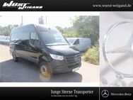 Mercedes Sprinter, 315 Kasten L2H2, Jahr 2024 - Weißenburg (Bayern)