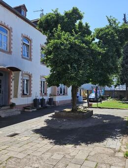 Eigentumswohnung mit Freifläche in unmittelbarer Nähe der historischen Porta Nigra - Trier