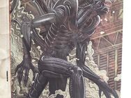 Alien Xenomorph 30 x 20 cm Blechschild Metallschild - Weinheim Zentrum