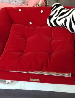 Teilen Hundesofa Pretty Pet Doggie Sofa Karree Couch rot - Stolberg (Rheinland, Kupferstadt) Zentrum