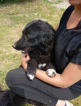 Maja 46 cm (Pflegestelle) - Alpenrod