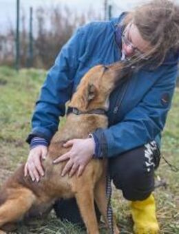 Maxi❤️träumt von ihren Herzensmenschen - Rott (Inn)