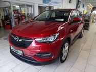 Opel Grandland X 1.6 Turbo Hybrid EDITION Navi, LED, - Gera