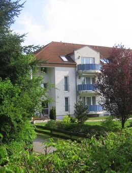 Sonnige Eigentumswohnung in zentraler Lage - Hermannsburg