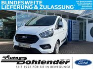 Ford Transit Custom, , Jahr 2023 - Kandel