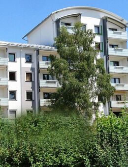 Ihr neues Zuhause wartet: Sanierte Wohnung in Waldnähe! - Neustrelitz
