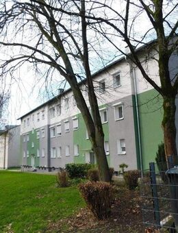 Schöne Erdgeschosswohnung mit Balkon, mit etwas Farbe einzugsbereit! - Witten