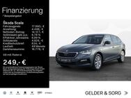 Skoda Scala, 1.0 TSI Ambition, Jahr 2021 - Haßfurt