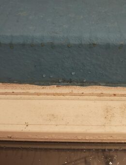 Reinigung und Renovierung eines Zimmer auf Rechnung - Hannover Herrenhausen-Stöcken