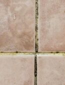 Fugenreiniger für Fliesenfugen in der Sprühflasche; 1 Liter in 82380