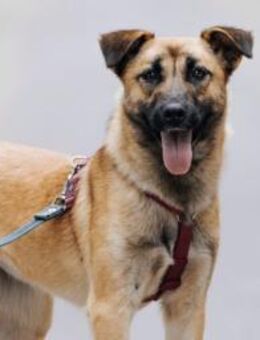 Mint, sportlicher Sonnenschein - Süderholz