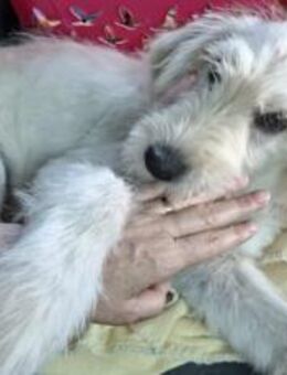 Verliebst du dich in Rob? - München