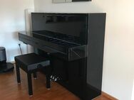 Bechstein Vario B 112 modern schwarz Hochglanz/chrom - Augsburg