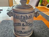 Porzellan Tabaktopf Antik Antiquitäten Grimm & Triebel - Kandel
