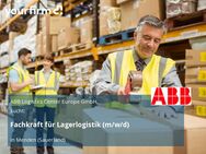 Fachkraft für Lagerlogistik (m/w/d) - Menden (Sauerland)