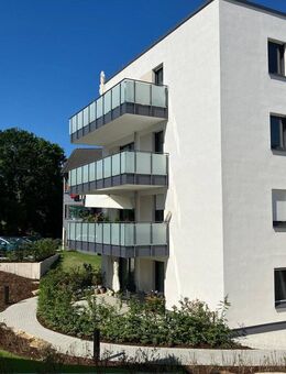Nachbarschaftliches Wohnen "WEITBLICK" in Schmallenberg - Rollstuhlgerechte 2 Zimmer - Schmallenberg
