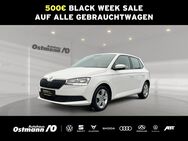 Skoda Fabia, Cool Plus, Jahr 2021 - Niestetal