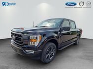 Ford F 150, 5.0 L XLT V8 deutscher offizieller Import, Jahr 2024 - Rutesheim