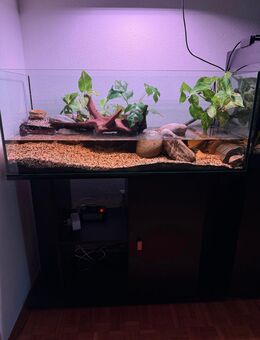 Komplettes 100l Aquarium mit Unterschrank und zwei Bewohner - Crailsheim Zentrum