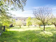 Grundstück - Südhang - mit Blick über Wenzenbach - Wenzenbach