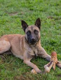 DETE - liebevoll kooperativ - Overath