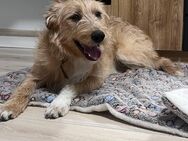 Matilda sucht Zuhause - Hamm