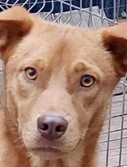 Greeg mit Video - Rotenburg (Fulda)