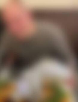 Man*** - Gebhardshain