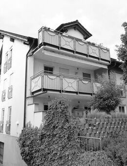 Gemütliche und großzügige Wohnung mit bodentiefen Fenstern, Balkon und Parkplatz in Nilkheim! - Aschaffenburg