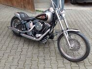 Harley Davidson EVO - Niddatal
